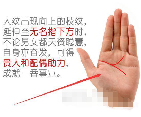 人纹,预示巨富无比的财富,手掌中间处出现上扬者,官禄之命,天助贵人