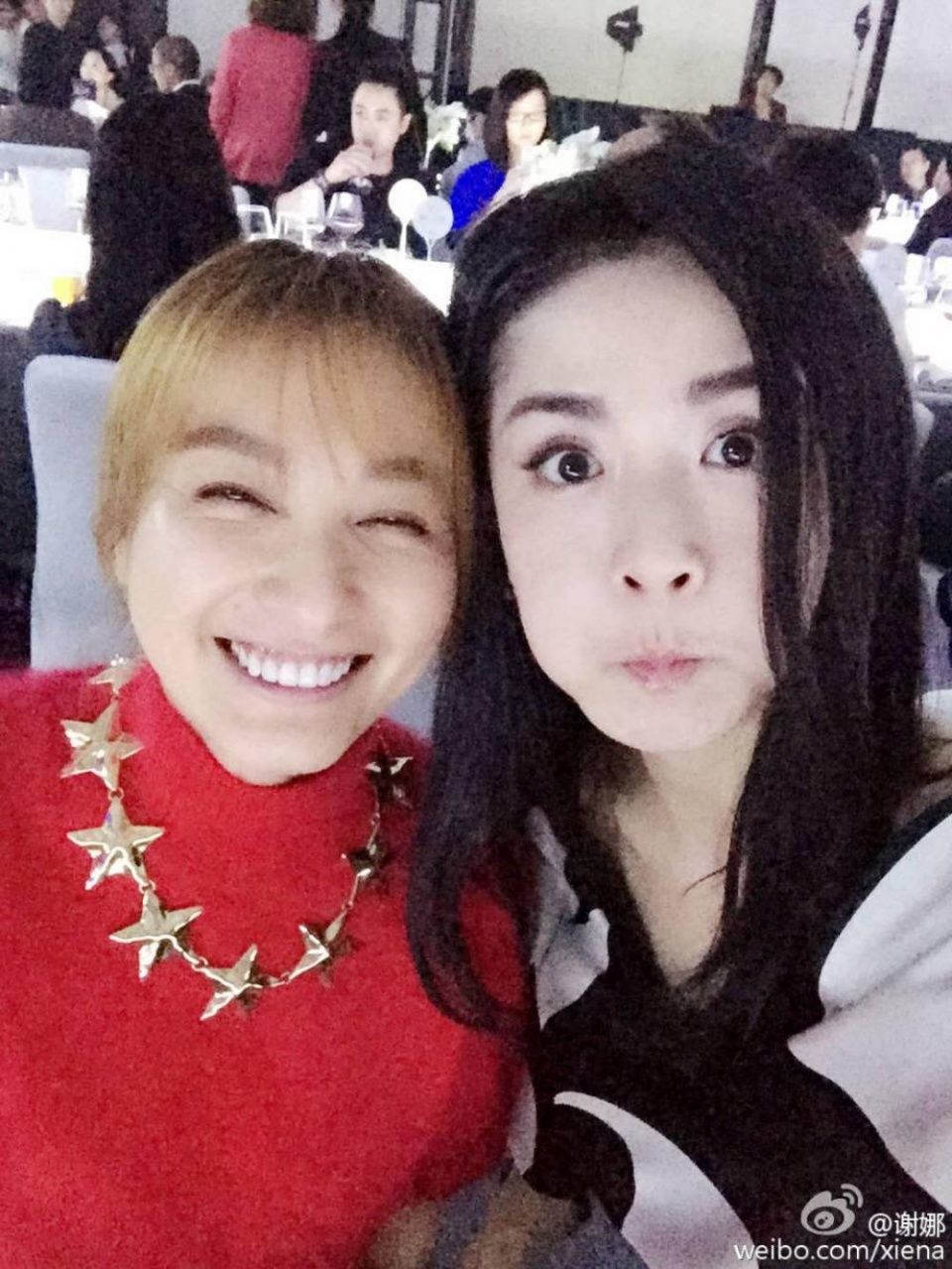 高仿号冒充谢娜在INS发文,谢娜工作室微博辟谣