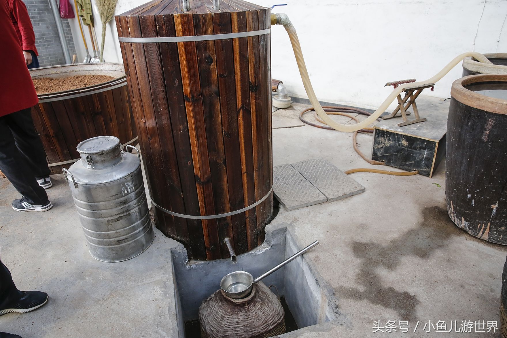 农村景区里的传统手艺酿高度粮食酒,699元一斤