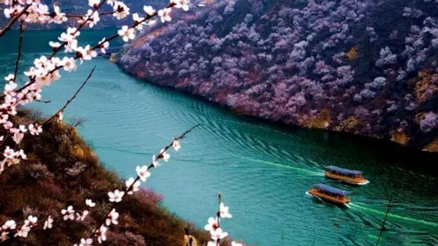 山间春花次第开 长城碧水入画来 山间春花次第开 长城碧水入画来