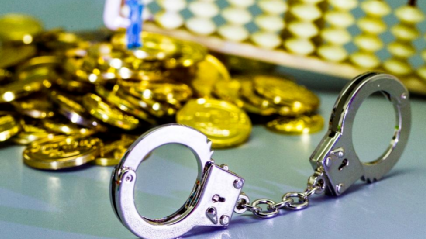 怂恿局长哥哥收受巨款 长春女子获刑五年：月入1.8万，名下7套房3辆车