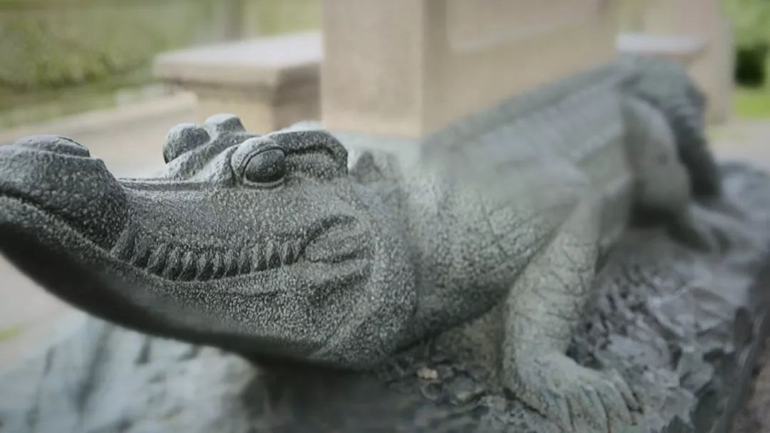 本期精彩丨走进潮州,一起感受这座古城的魅力