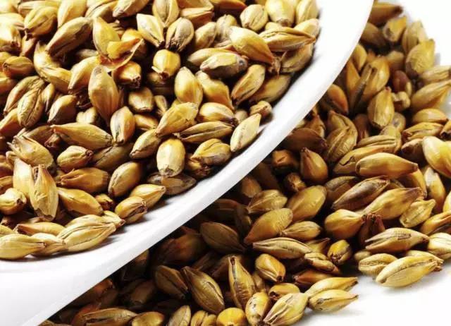 2018北京食品饮料展|健胃好食材(图2) 2018北京食品饮料展|健胃好食材(图2)