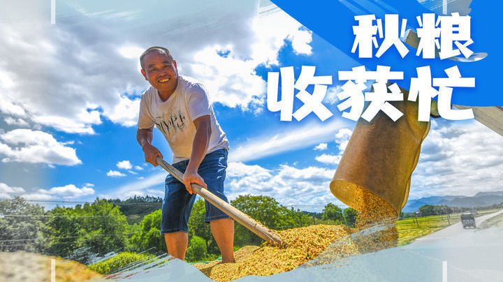 手中有粮 心中不慌!全国秋收进度过七成半,各地加快推进秋粮收获→ 手中有粮 心中不慌!全国秋收进度过七成半,各地加快推进秋粮收获→