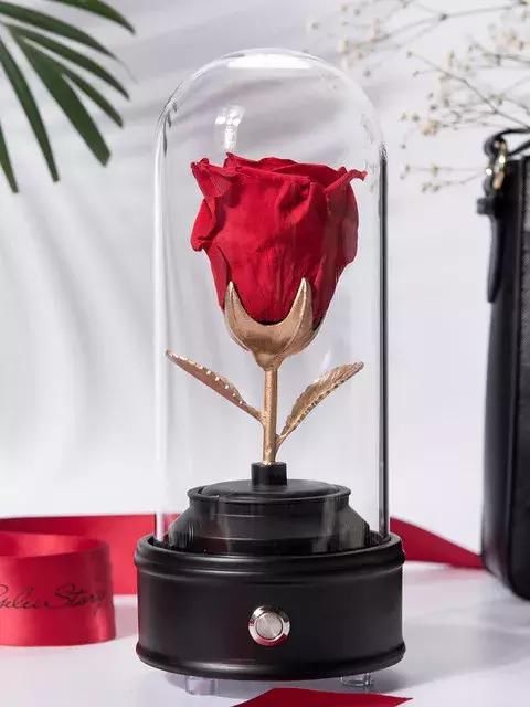 三叶草 or VANS?男生喜欢女生穿的球鞋是?