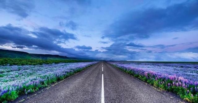 人生感悟:顺境时,多一份思索;逆境时,多一份勇气