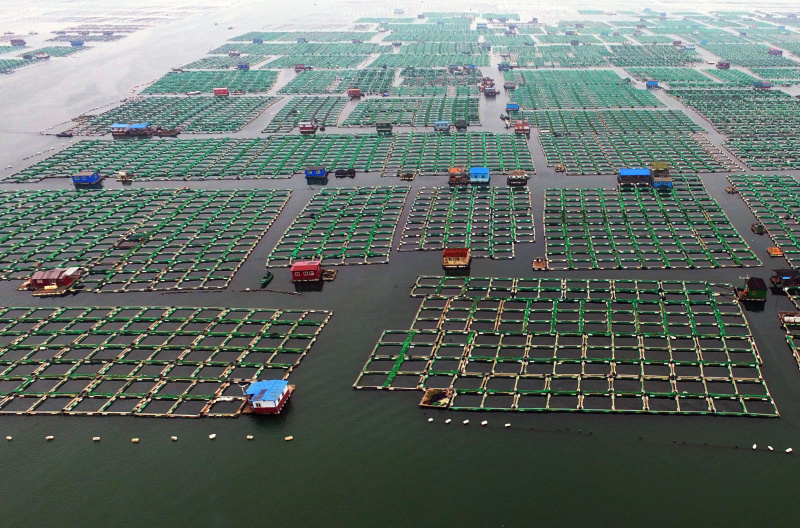 山东烟台:"海上粮仓"促发展