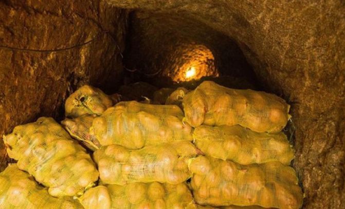 男子在红薯窖感觉到有光,当挖开的时候,男子立刻打电话报警