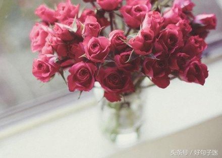 致自己一段真实的话,身心累了就看看!