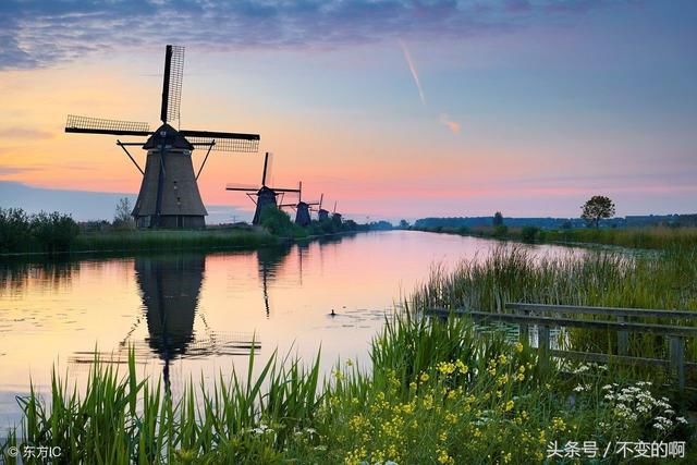 世界第二大农产品出口国竟然是荷兰