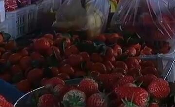 春节后水果蔬菜价格大幅回落 肉类价格比较稳