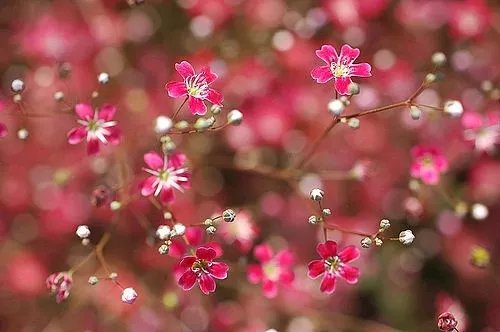 短而有感的好句,最新个性签名
