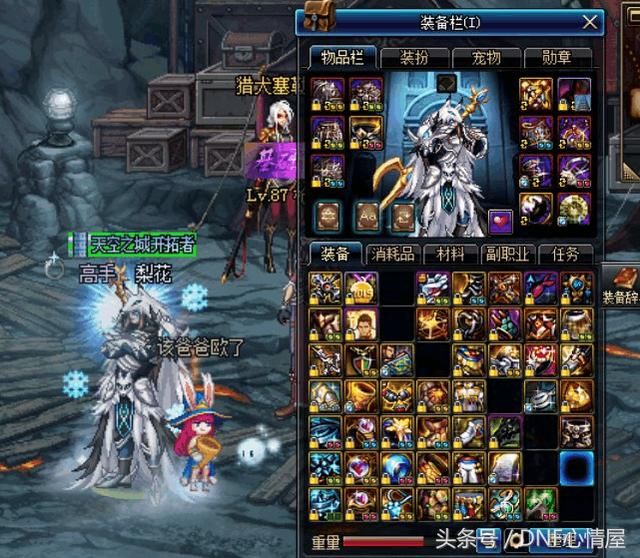 DNF:玩家拥有8个奶爸,6个是狐狸头,这打团怕没