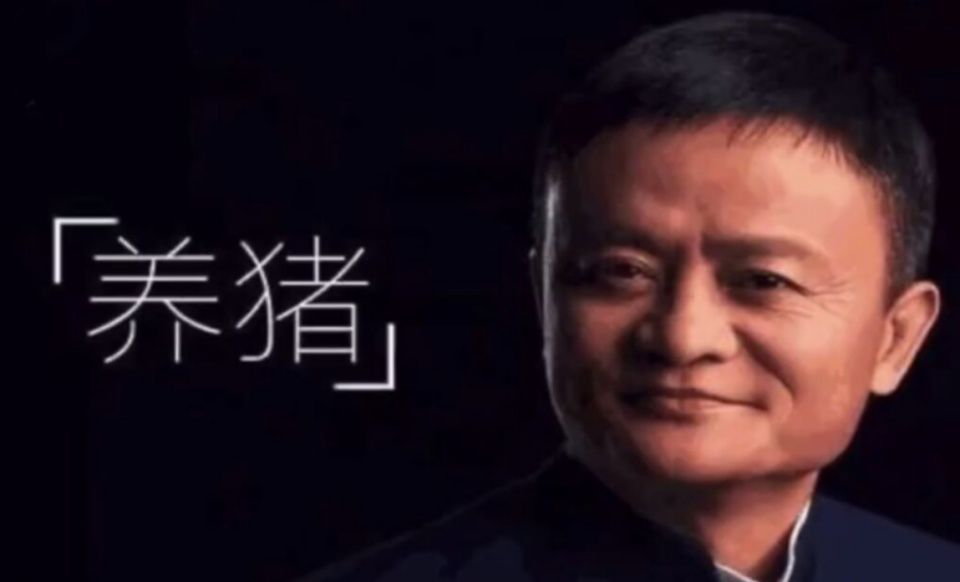 科技大佬争当农民:马云丁磊养猪、刘强东养牛