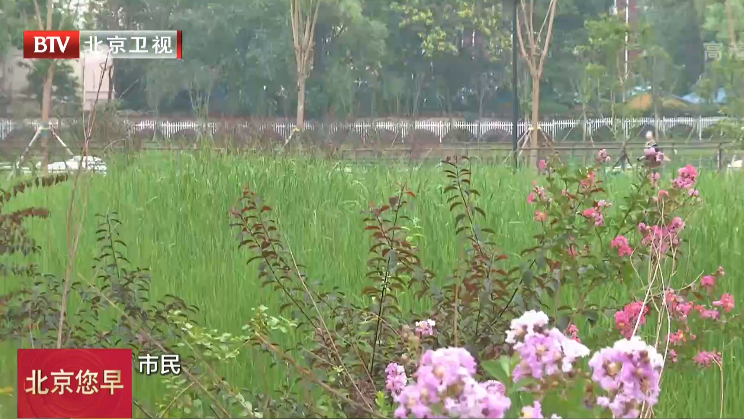 霍营公园开园 服务百万回天居民