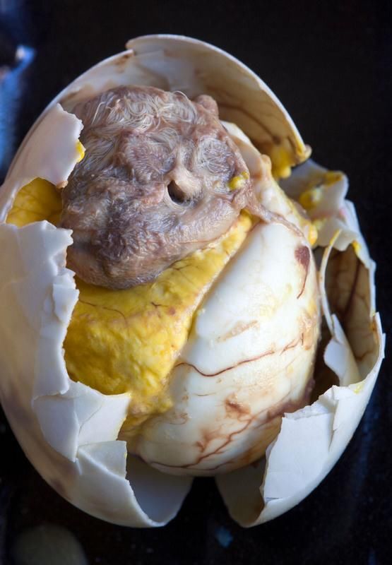 直击全球人最难下咽的八大"美食"中国上榜!