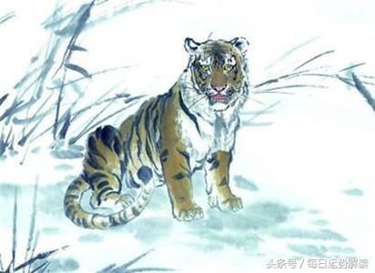 属虎2019年运势运程 生肖虎2019年运势大全