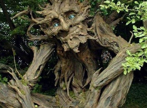 女子在野外与"树精"合照,突如其来的意外,直接大声尖叫起来!