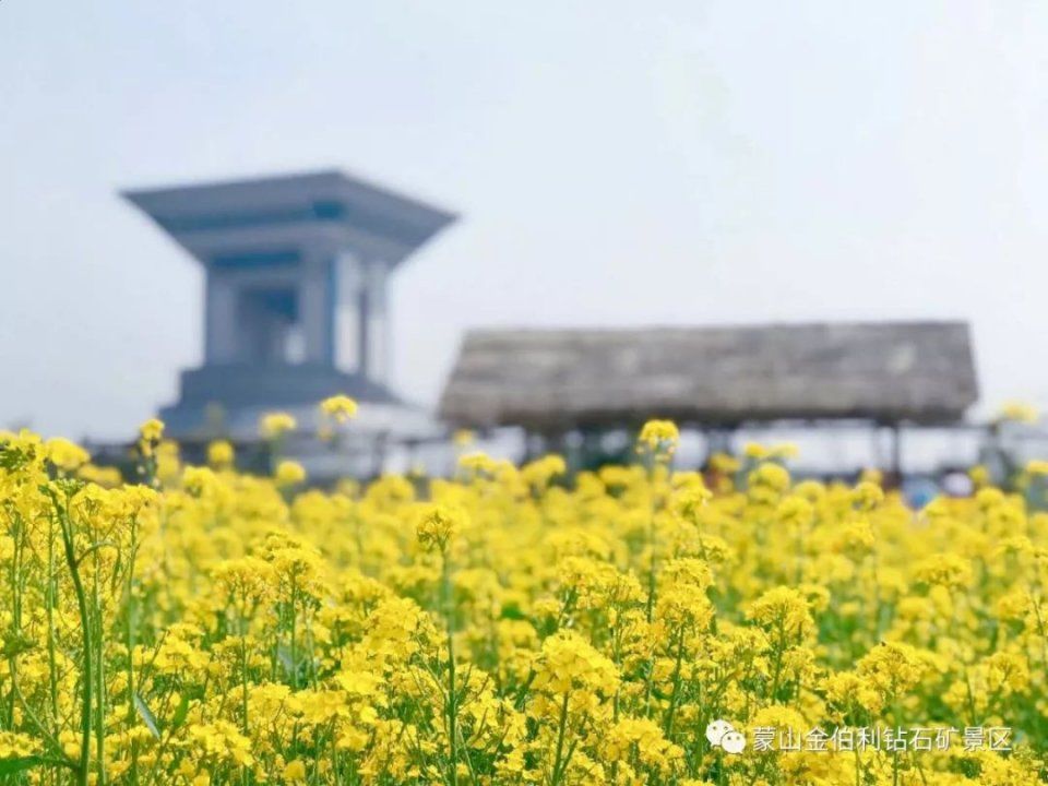十二星座女生对应什么花?简直准到吐血!