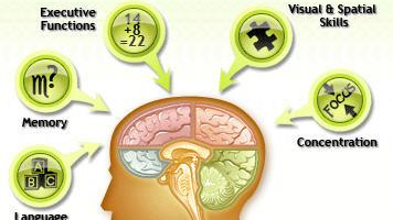 研究表明作息时间影响青少年大脑发育 研究表明作息时间影响青少年大脑发育