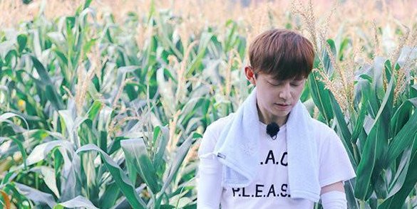 《向往的生活》下一季地点曝光,何炅老师笑了