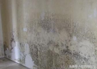 房子墙皮脱落别乱花冤枉钱,装修师傅教你小妙