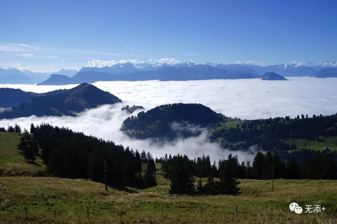 我把那封信留在苏黎世的从前