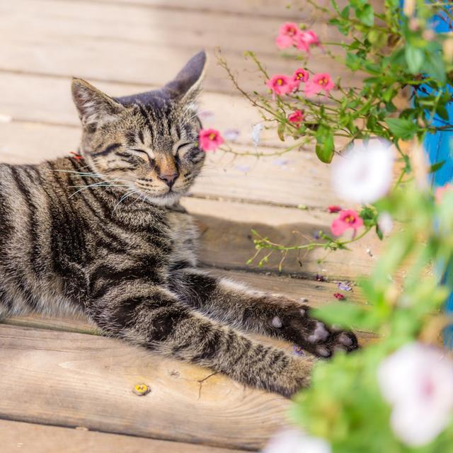 云南旅游|旅行的意义在于体验旅途的风景 旅行
