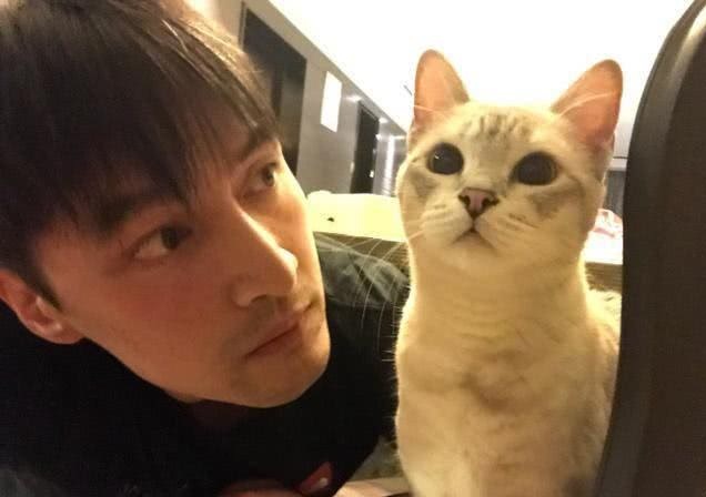 从来不参加综艺的胡歌,居然被这档节目请来了