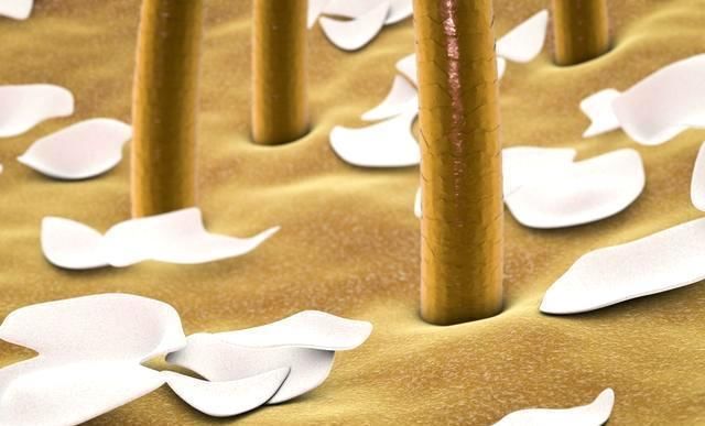 护发素真的可以保护头发吗?医生都不一定告诉