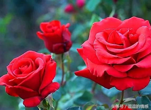 我们要做成熟智慧但不圆滑世故的人