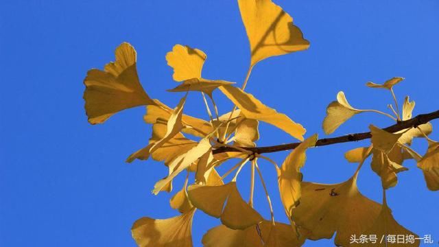 男生看一眼就难以忘记的三大星座女,看看有你