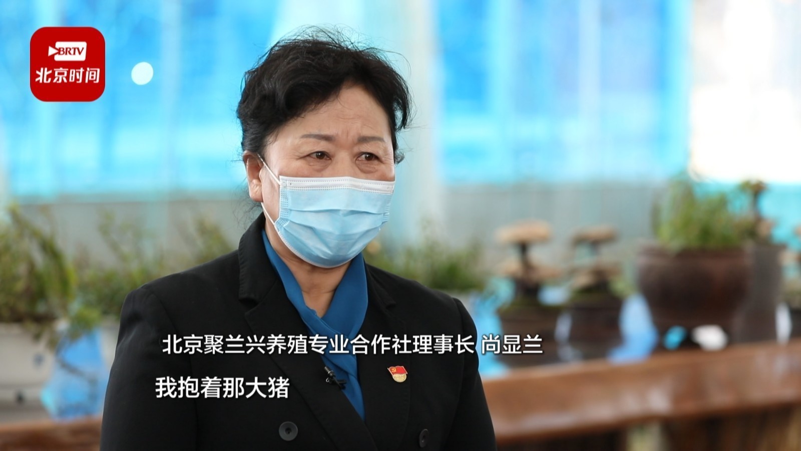 创业不易，她在堵车的高速路上抱着热死的大猪嚎啕大哭