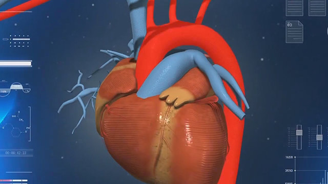 《生命缘》20190610父母的抉择 《生命缘》20190610父母的抉择