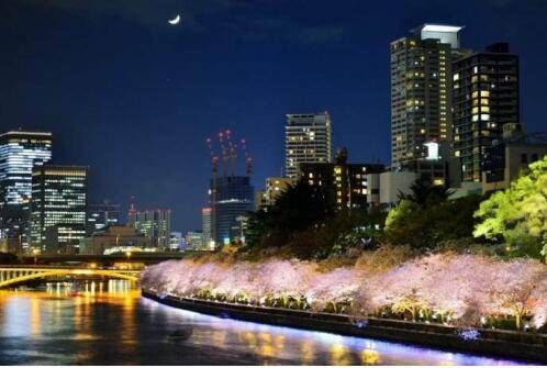 谷町君:投资日本房产,选择大阪哪个区?