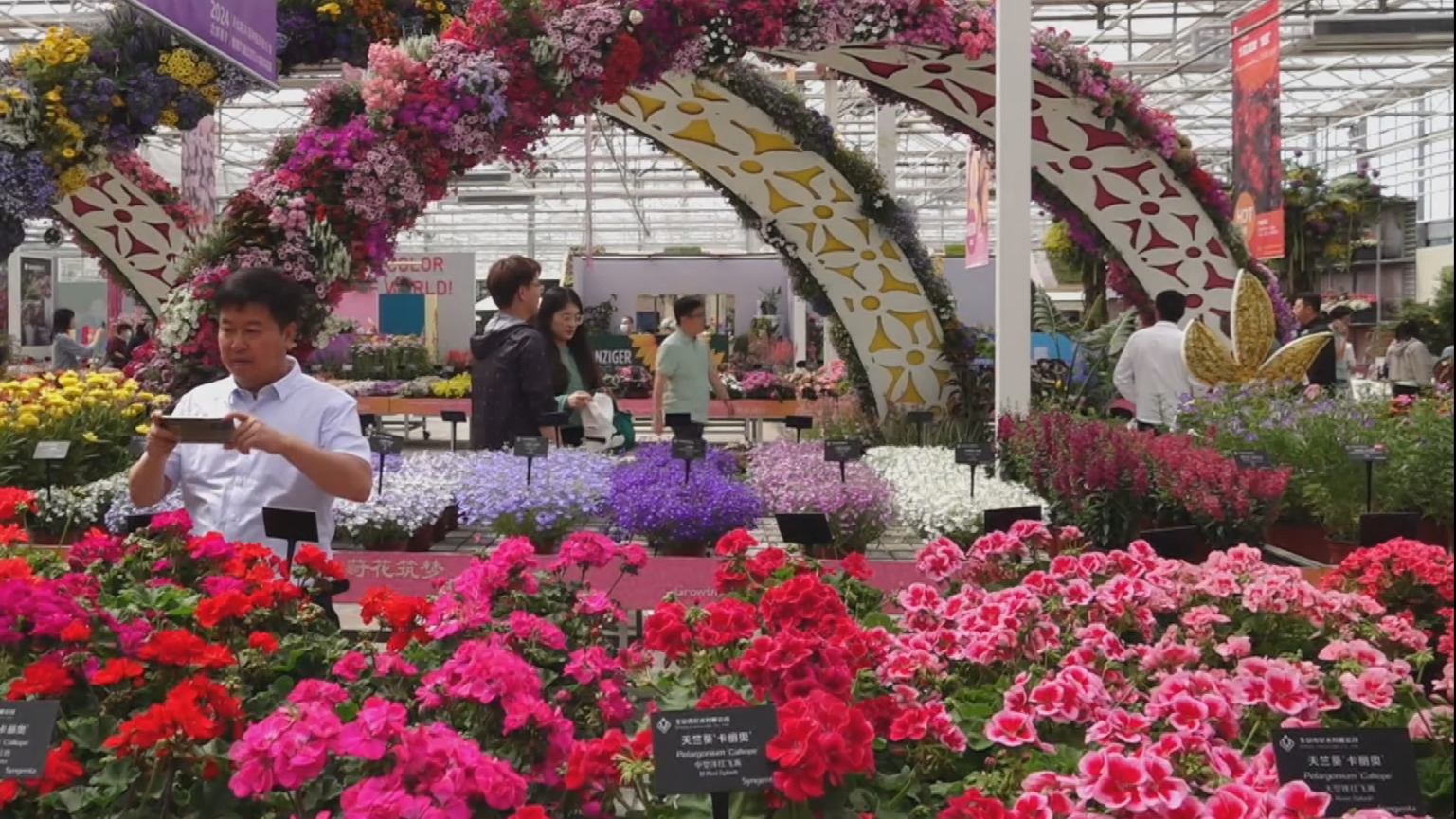 北京花展1300多个新优品种争奇斗艳
