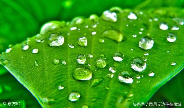 铁路职工持工作证可以免费进这些景区,是真的