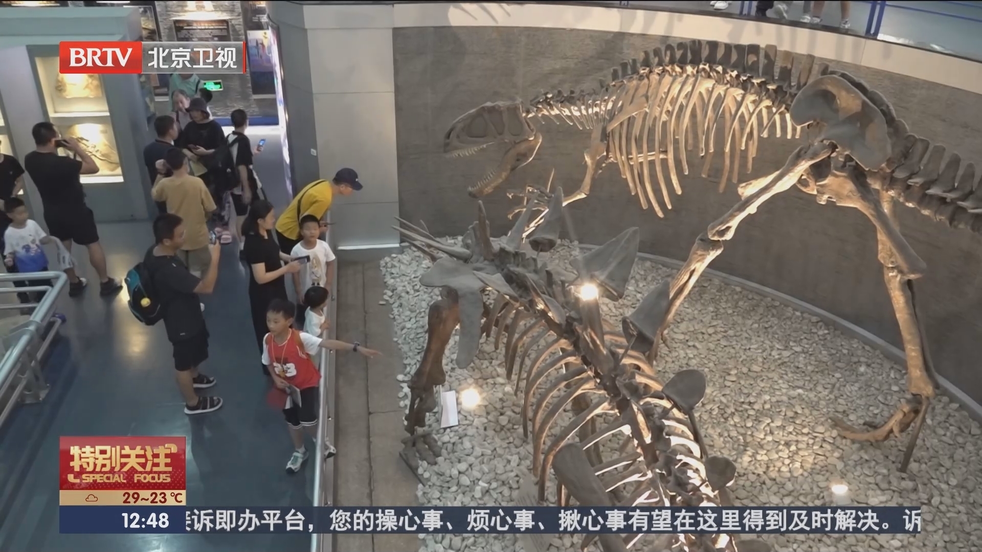 国家自然博物馆 为你点亮八月的每个夜晚