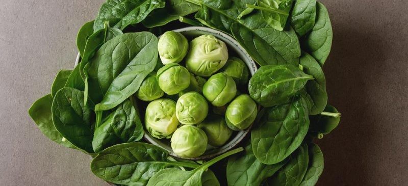 叶酸男人需要吃吗? 盘点叶酸的作用及功能-北