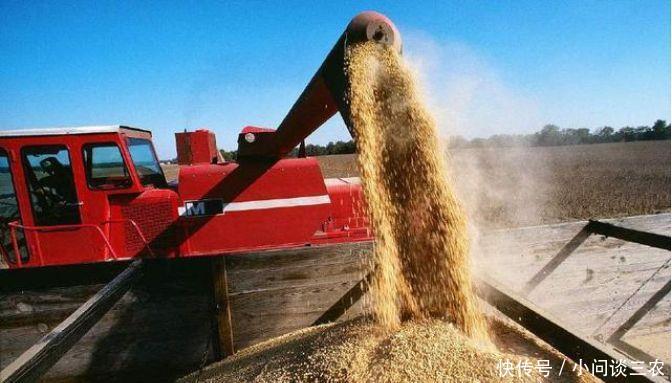 为什么中国不买美国大豆后,美国大豆出口不降