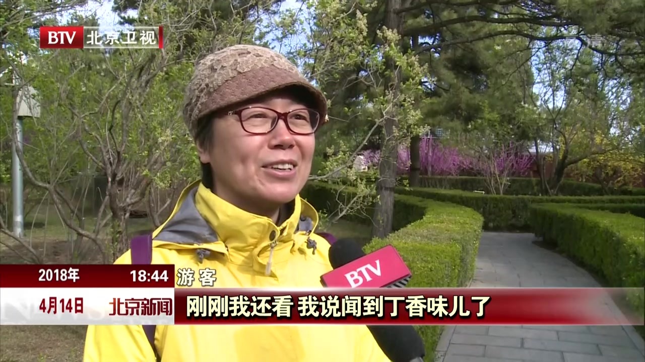 游北京戒台寺赏丁香文化 游北京戒台寺赏丁香文化