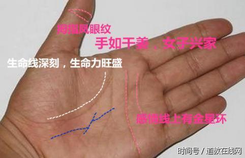 女人这种手相,百年一遇的"旺家命",福多财厚,旺子女!