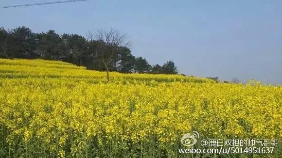 在中国江西有一个赣中明珠叫高安 物产丰富人