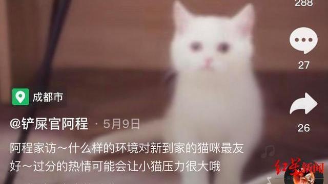 靠养猫养狗，宠物博主吸粉百万！揭秘宠物博主背后的“生意经”