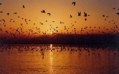 宁夏这个景区,能看星空能睡沙漠,还能载歌载舞