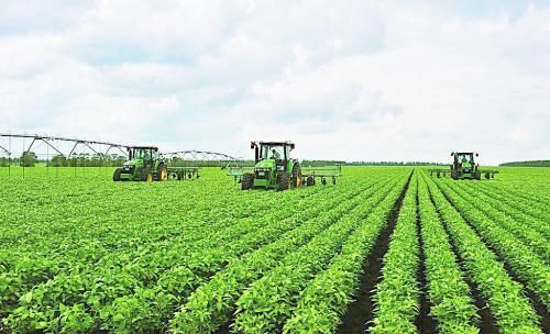 巴西农户仍然不情愿卖出大豆,集中精力收获大豆