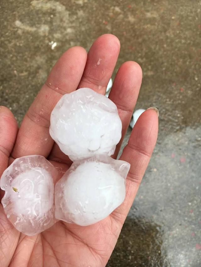 2018年那,冰雹下到了蓬莱 先下在小门家,后刮到