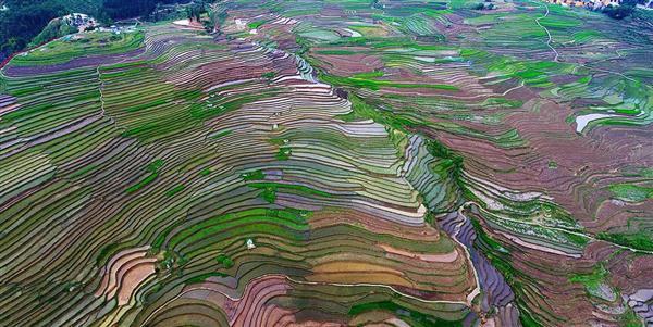 贵州:航拍盘州市新民万亩梯田,震撼的画面令人