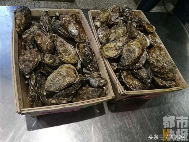 西安一吃货巴黎买近50斤生蚝 刚到机场就被