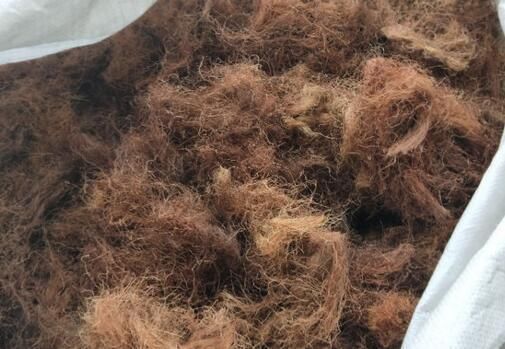 玉米上的胡须可以泡水喝吗?有副作用么?能治